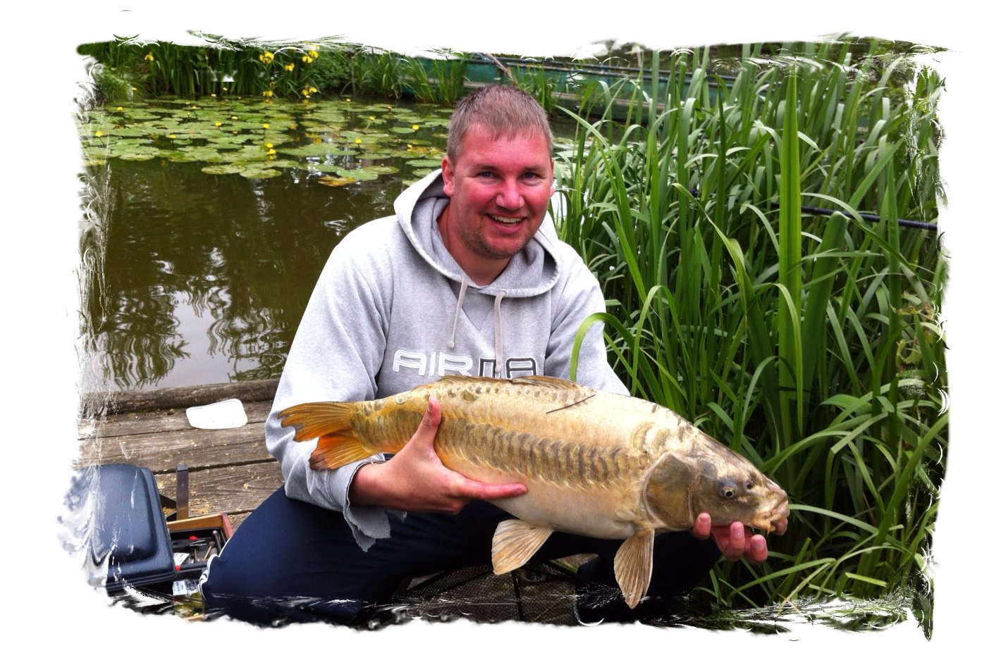 Mirror Carp (Ghost Linear) at Tetley Angling